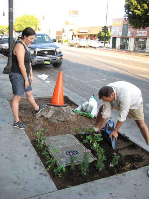 Umberto Brayj - en.wikipedia.org - Guerilla Gardening